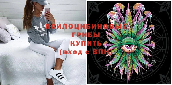 мяу мяу кристалл Покачи