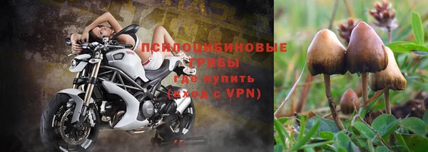 MESCALINE Покров
