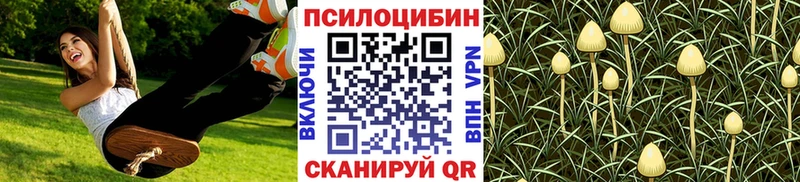 купить наркотики цена  Агидель  Псилоцибиновые грибы GOLDEN TEACHER 